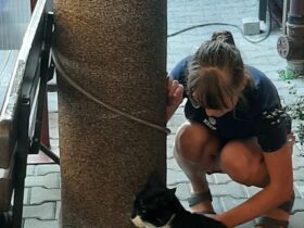 Przejście do innego świata