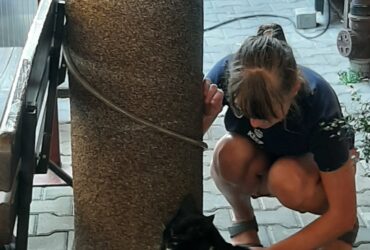 Przejście do innego świata