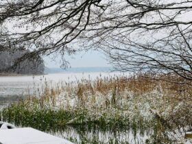 Święta poza domem – nowy sposób na bliskość, spokój i prawdziwy odpoczynek