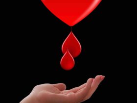 honorowi-dawcy-krwi-w-polsce-coraz-wiecej-benefitow-i-inicjatyw-edukacyjnych